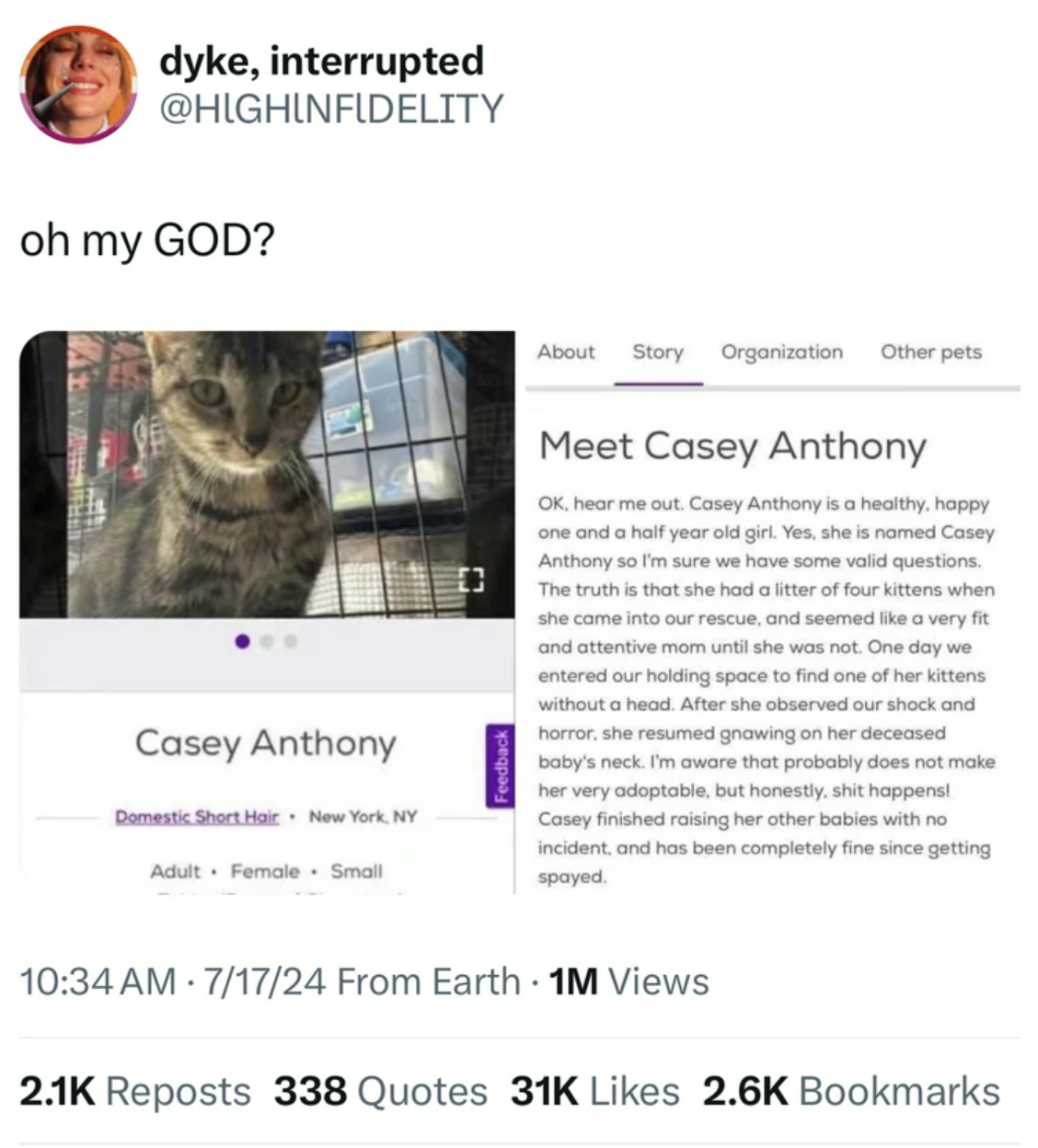 tabby cat - dyke, interrupted oh my God? About Story Organization Other pets Casey Anthony Domestic Short Hair New York, Ny Adult Female Small Meet Casey Anthony Ok, hear me out. Casey Anthony is a healthy, happy one and a half year old girl. Yes, she is 